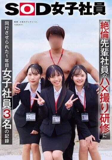 SDJS-387 Record of Three First-Year Female Employees Forced to Accompany Their Senior Colleagues on an Overnight Training Trip