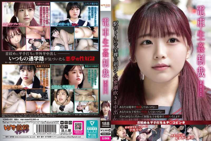 YDNS-011 Electric Train Molestation Trial 【011